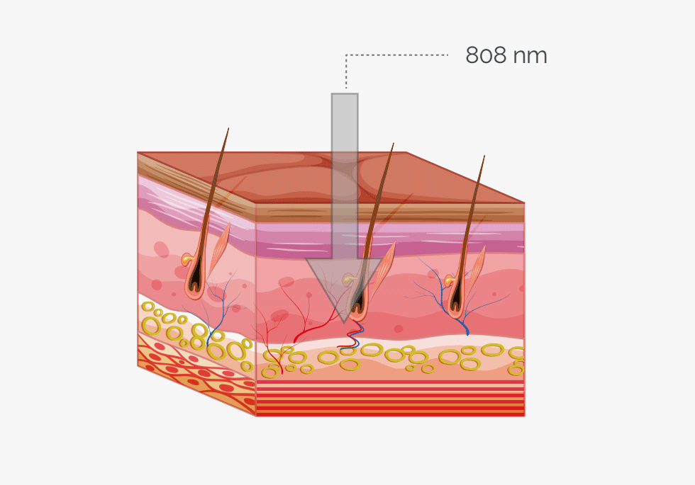 Depth of Penetration